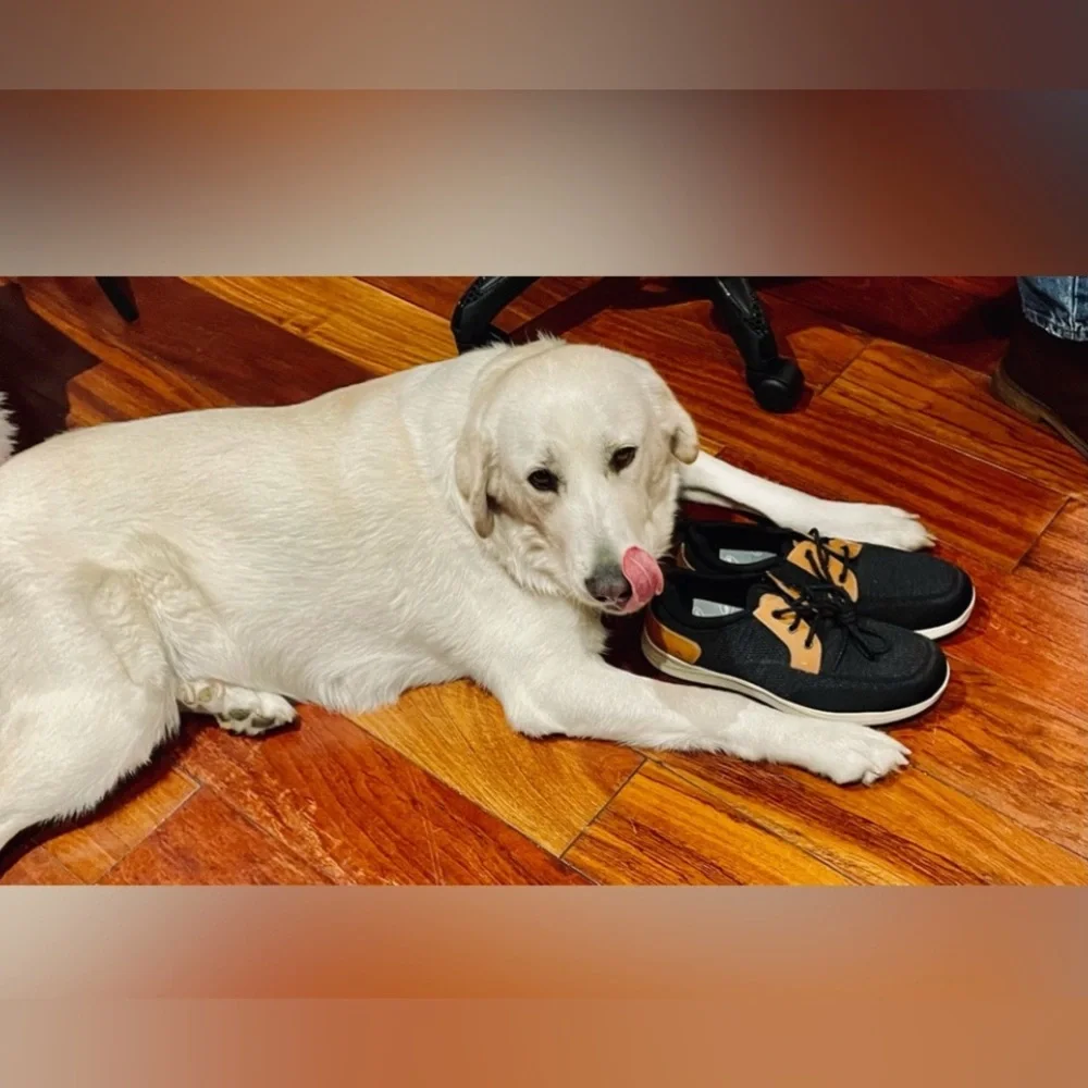 @kikipeters44 Flyer - Picture 5 of 12